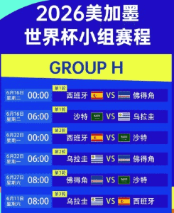 专业服务